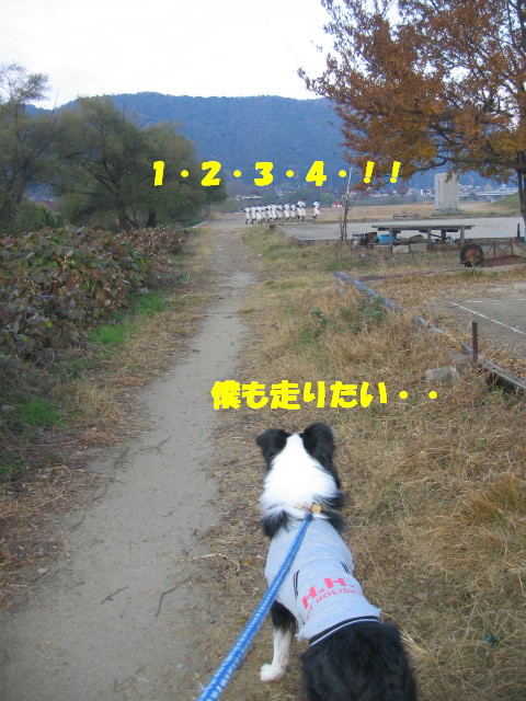 e0117976_104037100.jpg