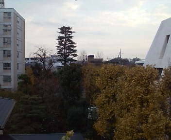 a0025592_15444947.jpg