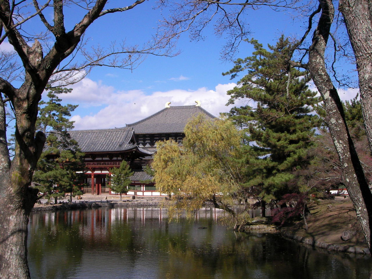 f0100593_20445333.jpg