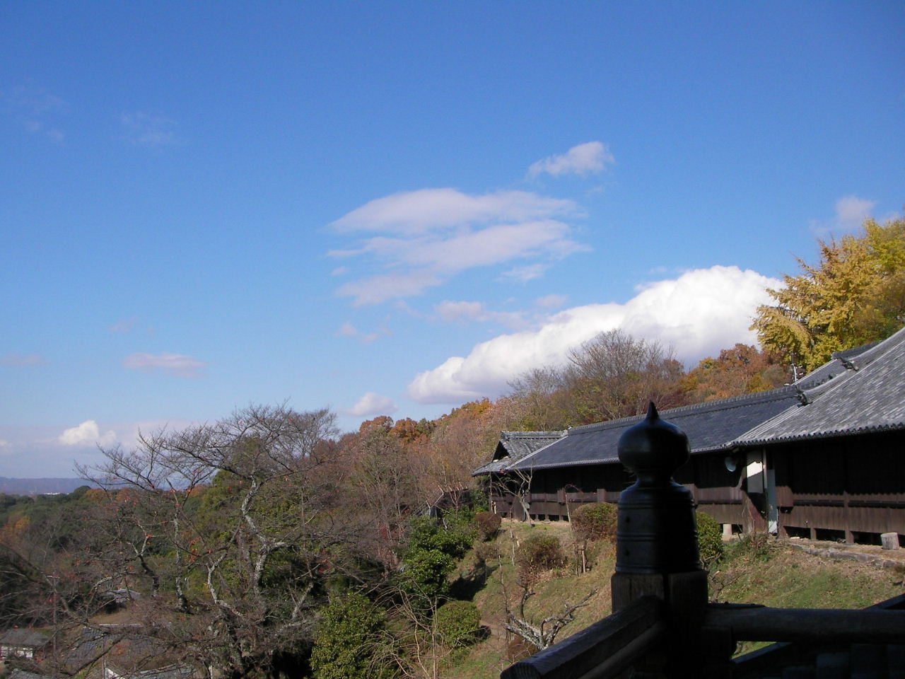 f0100593_2044698.jpg
