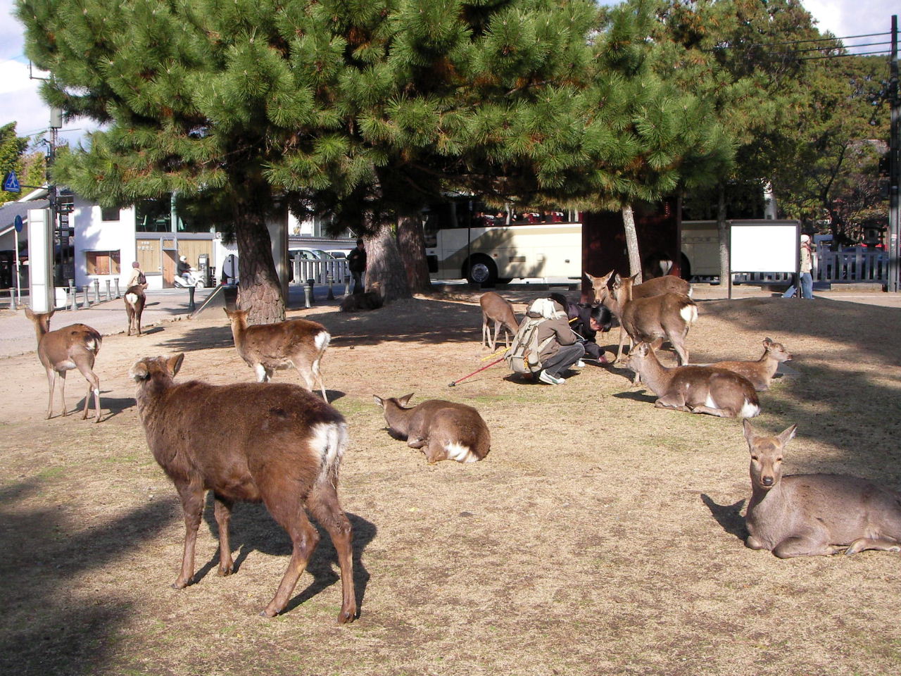 f0100593_20453781.jpg