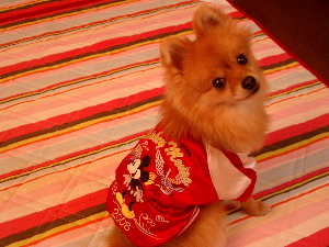 c0149195_058261.jpg