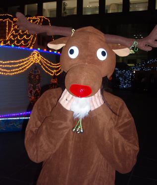 c0098501_3132870.jpg