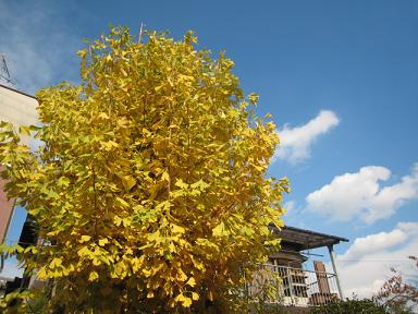 a0101802_2393125.jpg