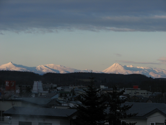 f0020302_2294619.jpg
