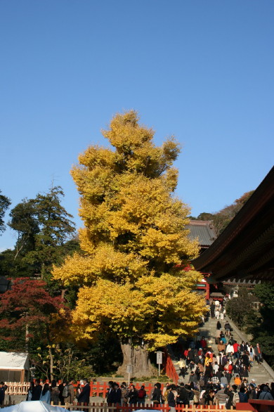 a0007906_18482023.jpg