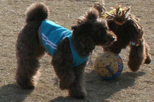 a0007906_2001159.jpg