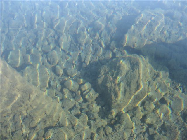 d0126708_2341179.jpg