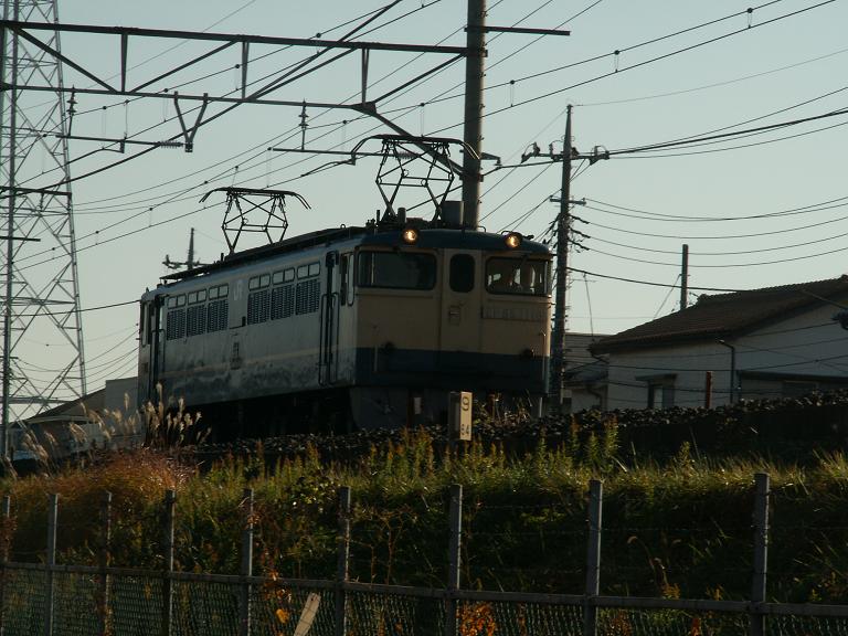 e0039316_12222625.jpg