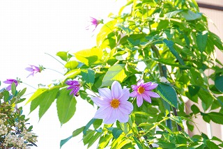 c0088418_1034845.jpg