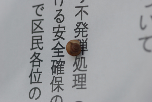 f0041021_222516.jpg