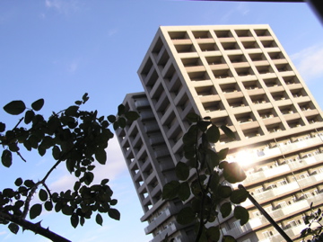f0128723_23215748.jpg