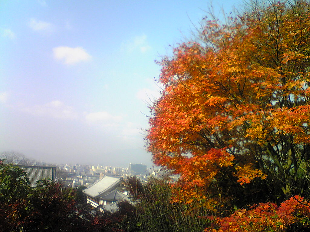 f0107724_22521326.jpg
