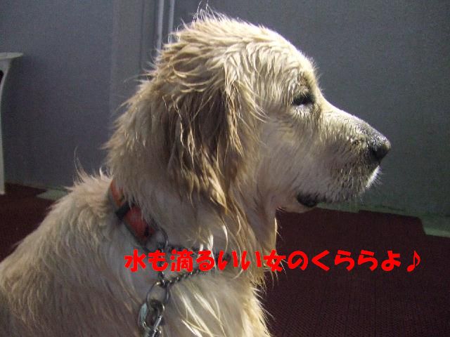 a0105425_21772.jpg