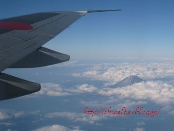 c0134734_16524851.jpg