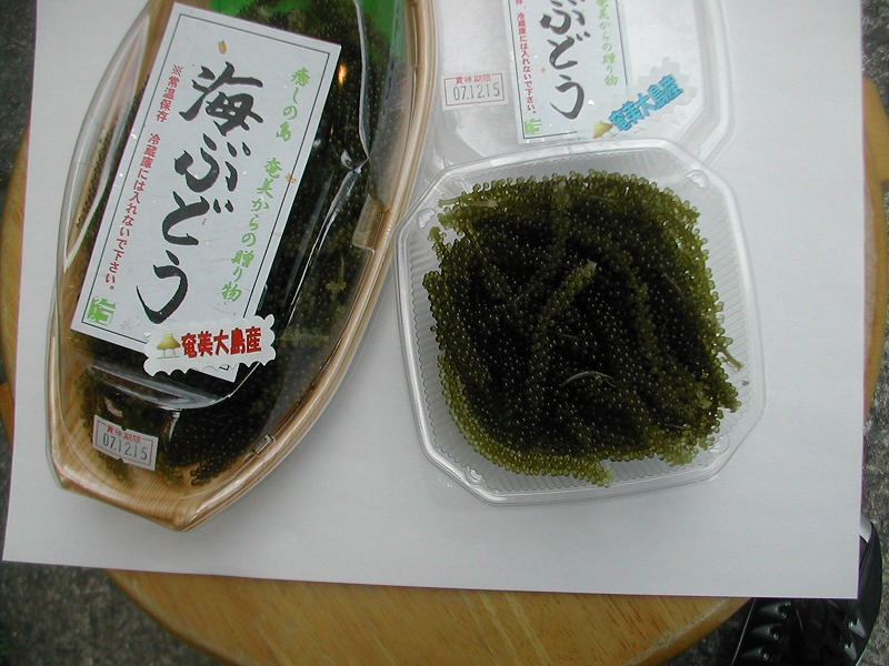 e0062635_165741.jpg
