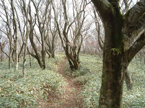 c0077338_22202254.jpg