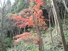 c0077338_2322148.jpg