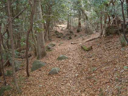 c0077338_2322366.jpg