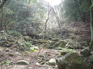 c0077338_23224668.jpg