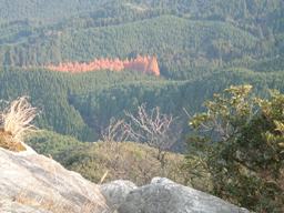 c0077338_23232029.jpg