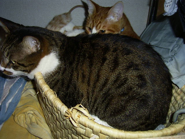f0127441_2317242.jpg