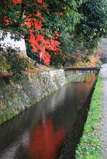 c0122445_1394935.jpg