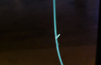 b0042548_172329100.jpg