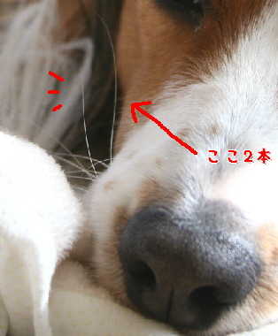 d0013149_25125.jpg