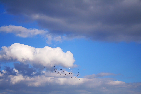 a0024250_2285180.jpg