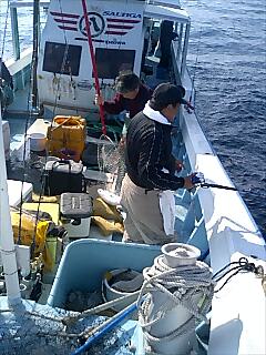 f0063356_111556.jpg