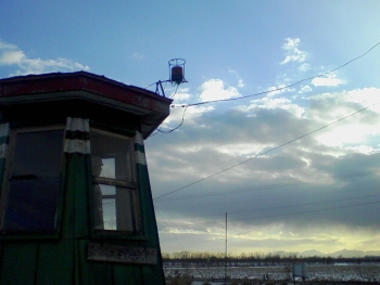 a0004359_03479.jpg