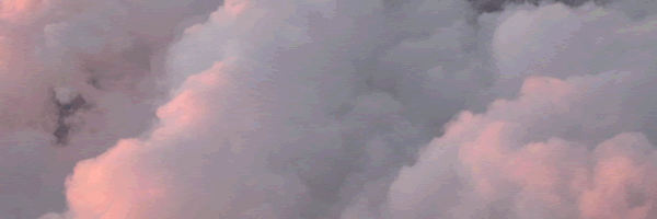 c0062361_15434283.gif