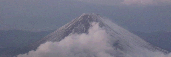 c0062361_15434935.gif