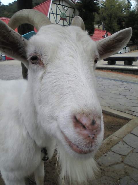 e0089761_14401061.jpg