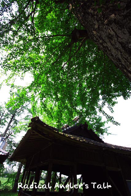 b0032262_242922.jpg