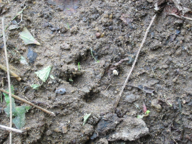d0094868_12183629.jpg