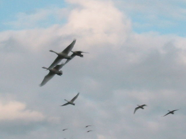 d0094868_12225657.jpg