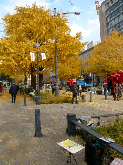 e0078069_1735467.jpg