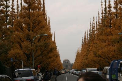 e0062371_2204775.jpg