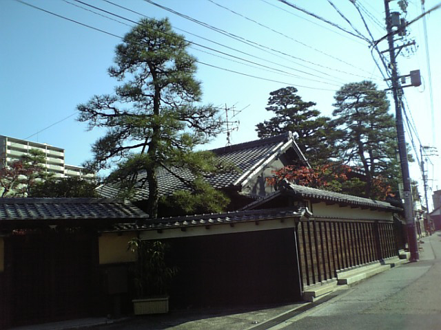 c0124776_6404366.jpg