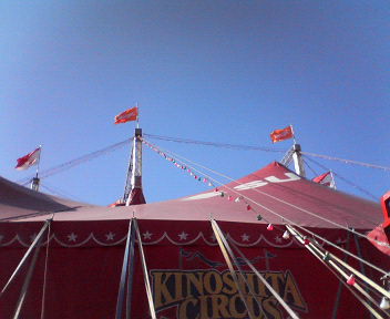 d0056881_21365018.jpg