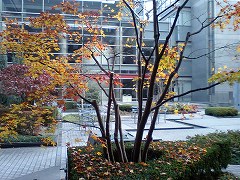 b0042882_10372596.jpg
