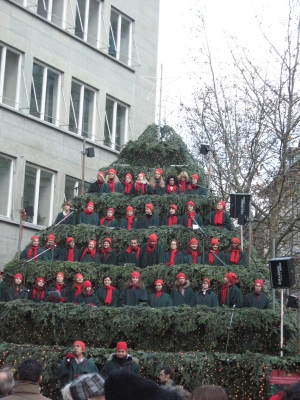 e0012482_51529.jpg