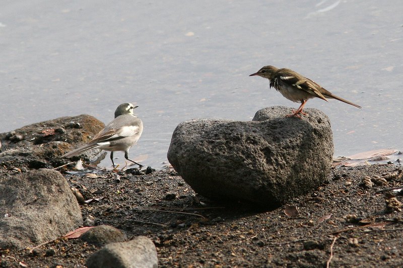 f0022486_2059019.jpg