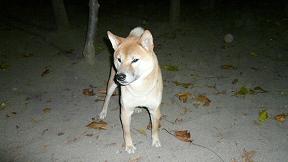 c0123890_1923088.jpg