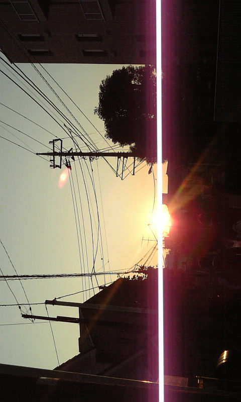f0051792_162544.jpg