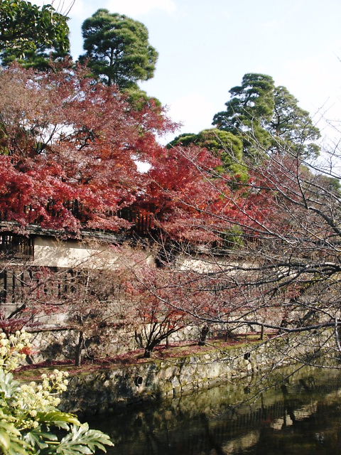 c0134893_1644588.jpg