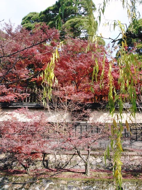 c0134893_1649387.jpg
