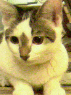 f0123098_12463287.jpg
